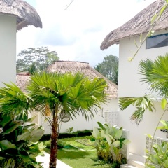 Kanomayasa Ubud Villa - Bild 15
