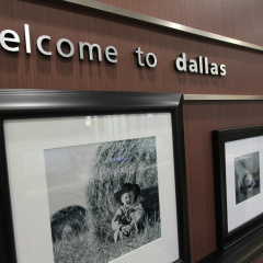 Hampton Inn & Suites Dallas Market Center thumbnail 50