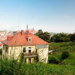 Rebenhaus Meißen - Bild 6