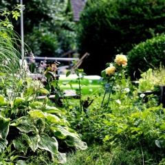 Souterrainwohnung mit großem Garten und Sauna - Bild 8