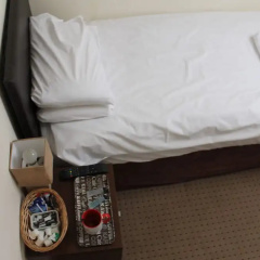 The Red lion thumbnail 6