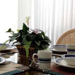 King Palm Home by Florida Dream Homes thumbnail 4