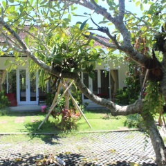 Summer Homestay - Bild 3