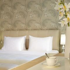 Afitos Boutique Hotel thumbnail 5