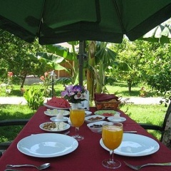 Çirali Almira Bungalow - Bild 13