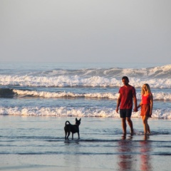 Bali Hai Island Resort - Bild 24
