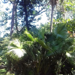 Yaguarete Lodge thumbnail 2