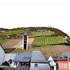 Gelber Hof - Bild 14