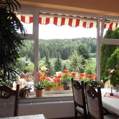 Pension Waldhof - Bild 5