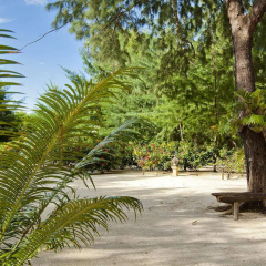 Pearl of Trawangan - Bild 30