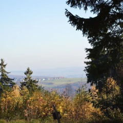 Pleasant Holiday Home in Kemmenau With Sauna - Bild 23