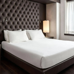 Hyatt Centric Milan Centrale thumbnail 5