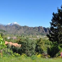 Azra Villas - Bild 13