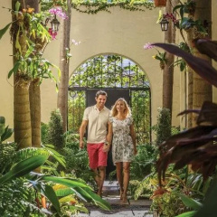 Orchid House thumbnail 17