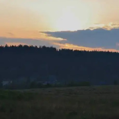 Zagroda Chryszczata thumbnail 4