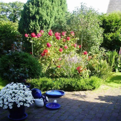 Anne-1-traumhafte-Lage-mit-Garten-und-Strandkorb - Bild 12