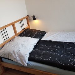 Apartment im Luisenviertel - Grün - Bild 3
