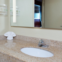 Holiday Inn Shreveport Downtown by IHG thumbnail 9