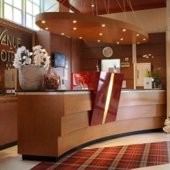 Hotel Avenue - Bild 22