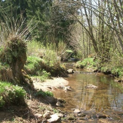 Ellerbeck Gesundheits- und Wellnesshof - Bild 17
