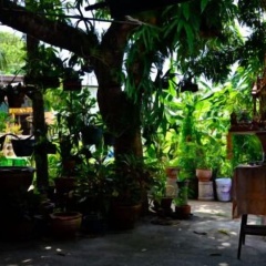 Ban To Guesthouse - Bild 11