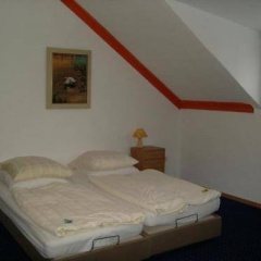 Ashok - Bild 3