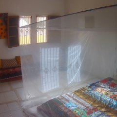 Le Triskell Auberge - Hostel in Nouakchott, Mauritania from 36$, photos, reviews - zenhotels.com photo 23