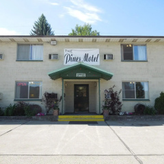 The Pines Motel thumbnail 1