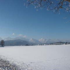Haus Alpenrose - Bild 17