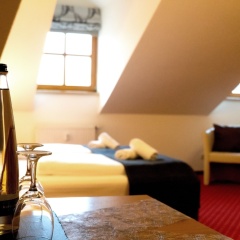 Landhotel Donaublick - Bild 6