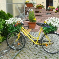 Gasthaus Forelle - Bild 12