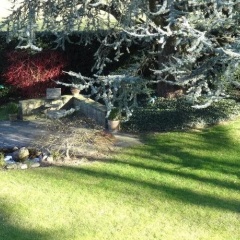 The Garden Guesthouse - Bild 9