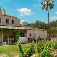 Agroturismo es Mayolet - Bild 10
