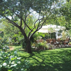 Hotel Gulec - Bild 10
