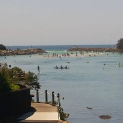 Sunrise Cove Holiday Apartments thumbnail 35