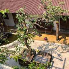 Отель Leranda Homestay Вьетнам, Хюэ - отзывы, цены и фото номеров - забронировать отель Leranda Homestay онлайн фото 22
