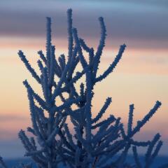 Skeiðvellir Villa in Laugaras, Iceland from 391$, photos, reviews - zenhotels.com photo 34