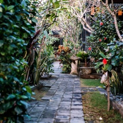 D and B Bungalow's by DeWizZ Management - Bild 14