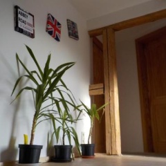 Ferienhaus Schock - Bild 6