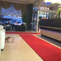 Madi Hotel Ankara - Bild 2