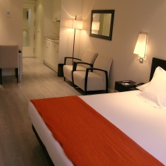 Suites Viena Plaza De Espana Hotel - Bild 10