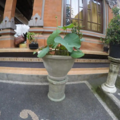 Pancer House