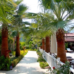 Nerissa Hotel - Special Class - Bild 15