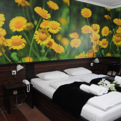 Green Hotel Budapest - Bild 6