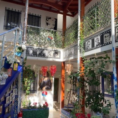 Hotel Paradise Garden Butik Otel - Bild 5