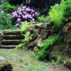 Villa Brodthage, App. 1 - Bild 2