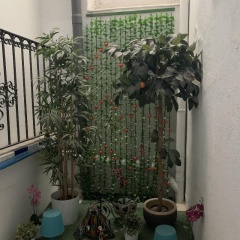 Pension Giraldilla - Bild 17