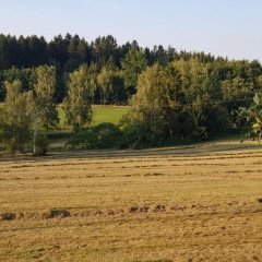 Ferienhof Löw - Bild 11