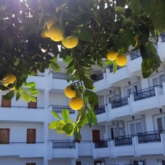 Elijah Otel - Bild 12