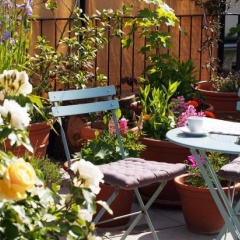 Casita: Your Home in Bern - Bild 11